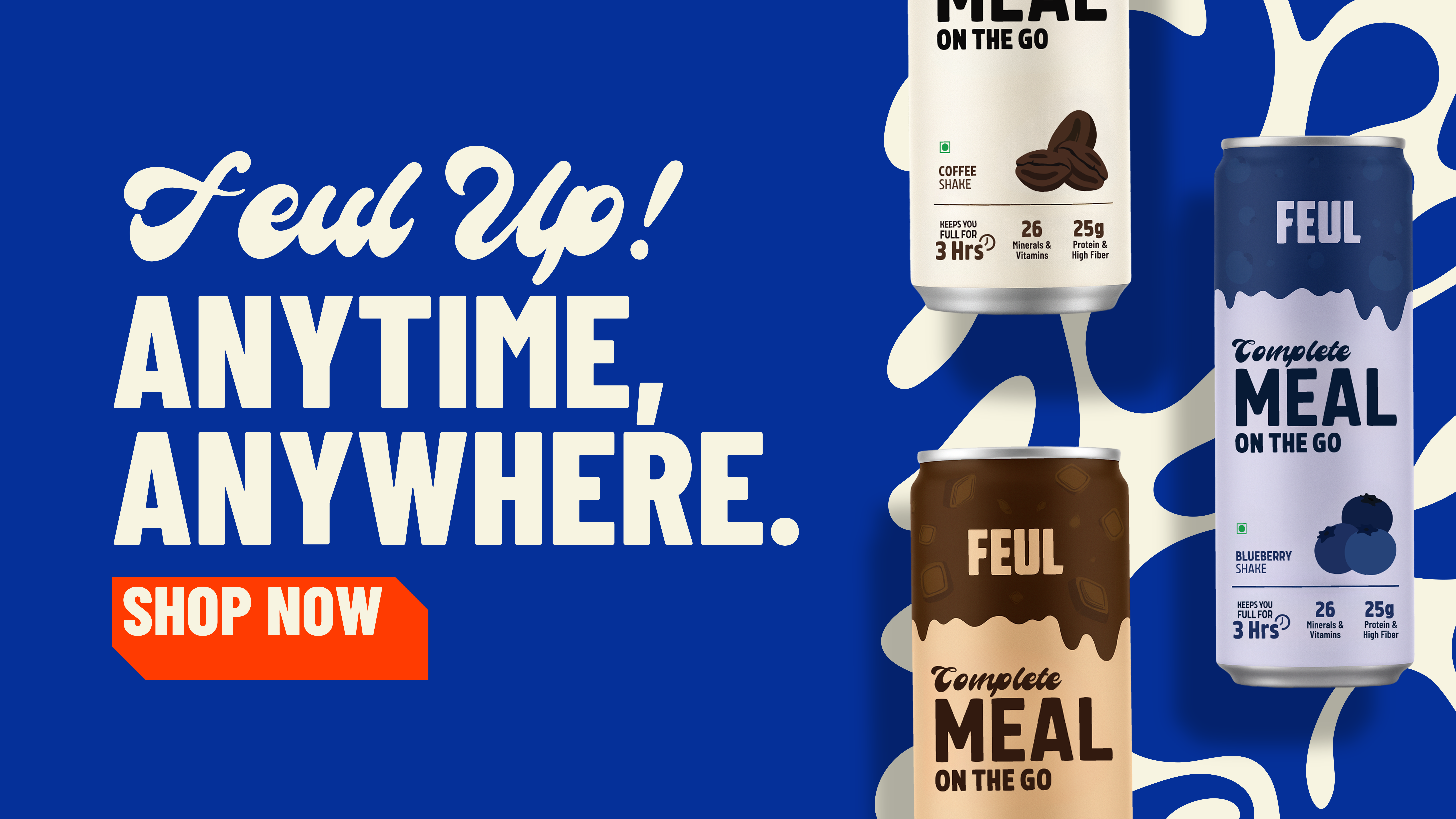 Feul brand presentation and market analysis